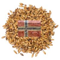 Norsk Karamell Malt 1 kg knust 120-150 EBC - Stor-Gaalaas Gård