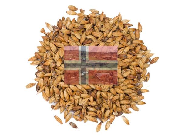 Pale Ale Malt 1 kg knust