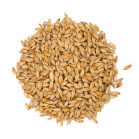 Château Cara Blond 1 kg knust 20 EBC - Castle malting