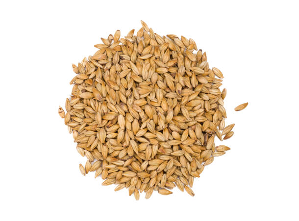 Château Cara Blond 1 kg knust 20 EBC - Castle malting