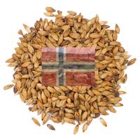 Norsk Karamell Malt 1 kg hel 120-150 EBC - Stor-Gaalaas Gård