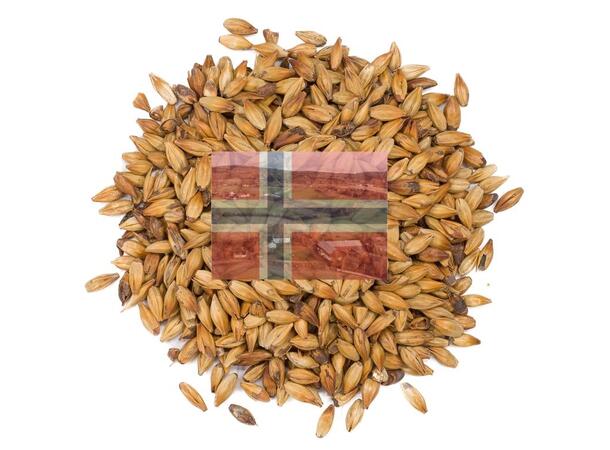 Pale Ale Malt 1 kg hel