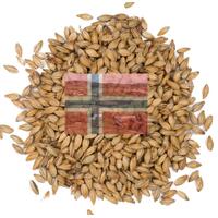 Norsk Munchener Malt 1 kg knust 19 EBC - Stor-Gaalaas Gård