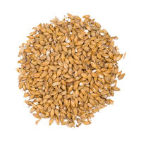 Château Acid 25 kg hel 6-12 EBC - Castle malting
