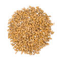 Ch&#226;teau Acid 1 kg knust 6-12 EBC - Castle malting