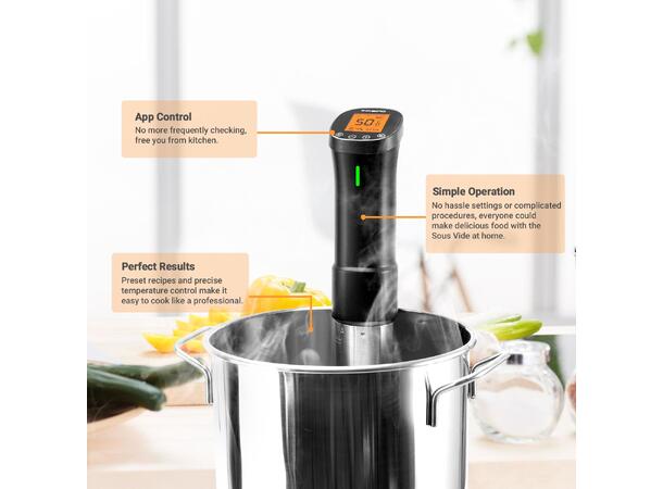 Inkbird Sous Vide Cooker ISV-200W | 1000W, med wifi appstyring