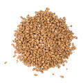 Ch&#226;teau Spelt 1 kg hel 3-7 EBC - Castle malting