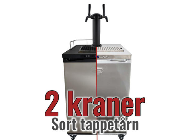 Series X Kegerator - 2 kraner