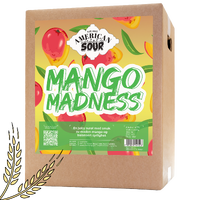 Mango Madness allgrain ølsett American Sour