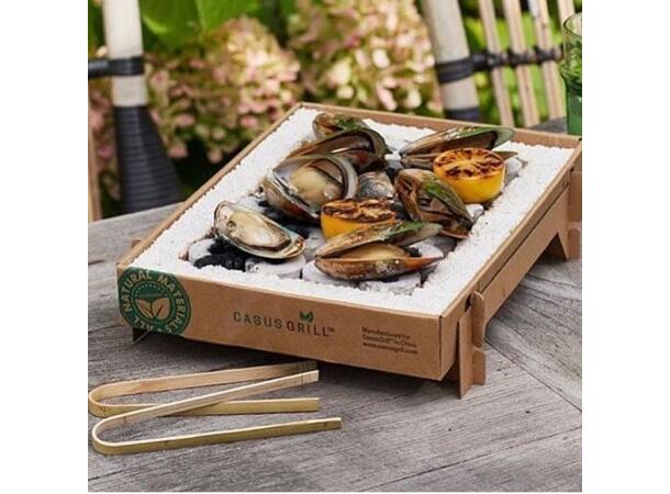 Casus Grill, Eco friendly Instant Grill