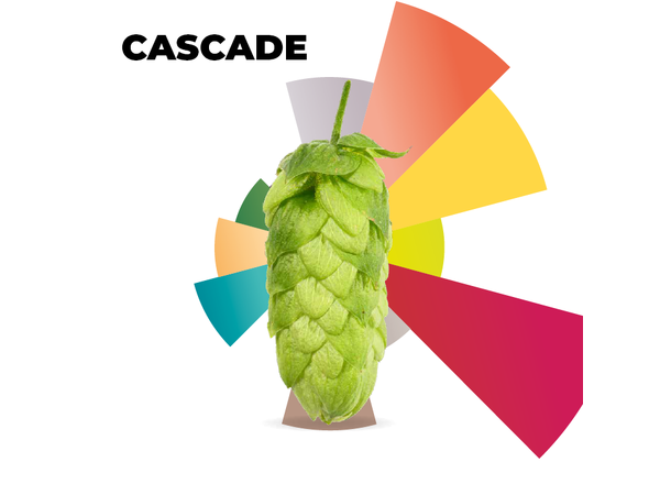 Cascade BBC 2021 100g, 6,8% alfasyre