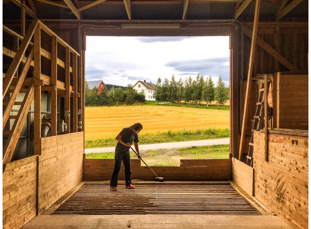 Honning Malt 25-35 EBC - Bonsak Gårdsmalteri