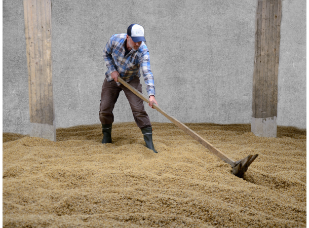 Honning Malt 25-35 EBC - Bonsak Gårdsmalteri