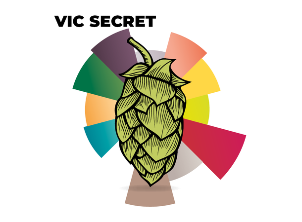 Vic Secret 2022 100g 18,2% alfasyre