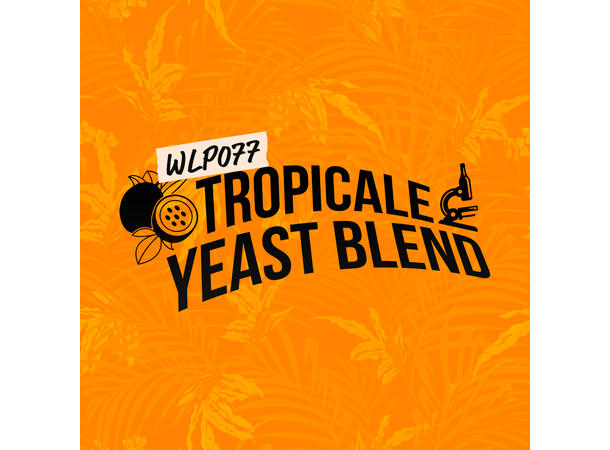 WLP077 Tropicale Yeast Blend 70ml