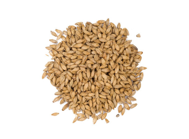 Bohemian Pilsner Malt  25 kg hel