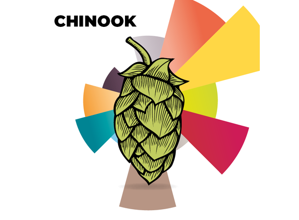 Chinook BBC 2021 100g, 11,3% alfasyre