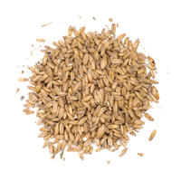 Oat Malt 25 kg hel 3-6,5 EBC - Viking Malt