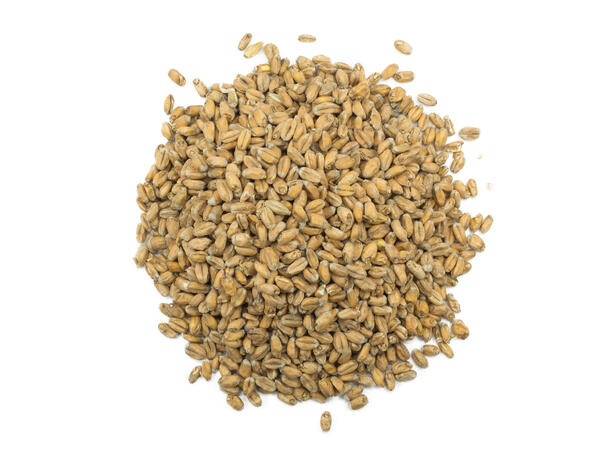 Pale Wheat 1 kg knust