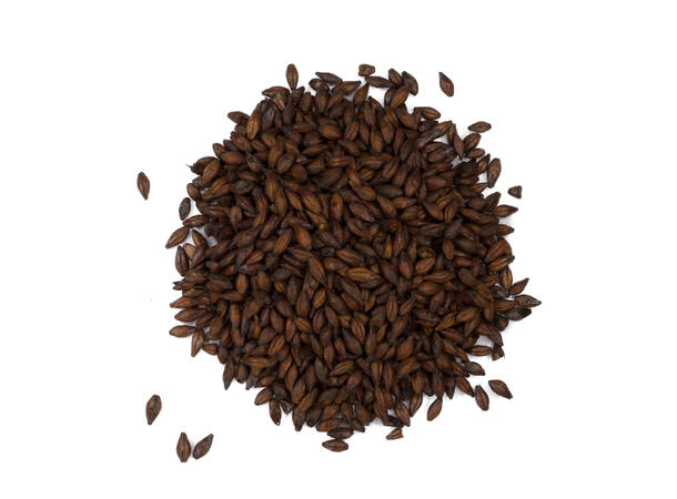 Black Malt