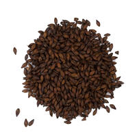 Black Malt 1 kg hel 1200-1500 EBC - Viking Malt