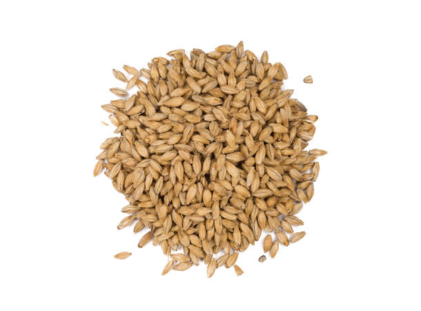 Bohemian Pilsner Malt 1 kg hel