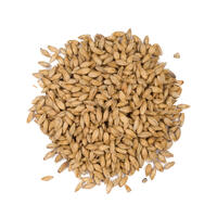 Bohemian Pilsner Malt 1 kg hel 4 EBC - Weyermann