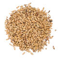 Ch&#226;teau Biscuit&#174; 1 kg knust 50 EBC - Castle malting