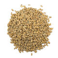 Pale Wheat 25 kg hel 4 EBC - Weyermann