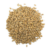 Pale Wheat 25 kg knust 4 EBC - Weyermann