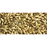 Cornish Gold Malt 1 kg knust 22-26 EBC - Simpsons Malt
