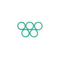 O-ring, Viton, 16x12x2mm, 5-pack Brewtools