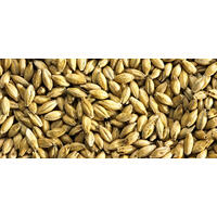 Finest Otter 25 kg knust 4-6 EBC Simpsons Malt