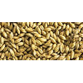 Finest Otter 25 kg knust 4-6 EBC Simpsons Malt