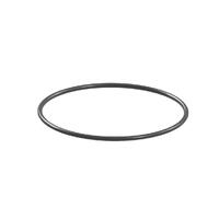 Pakning til pumpe, Pro-serien Topsflo TD5 - Brewtools