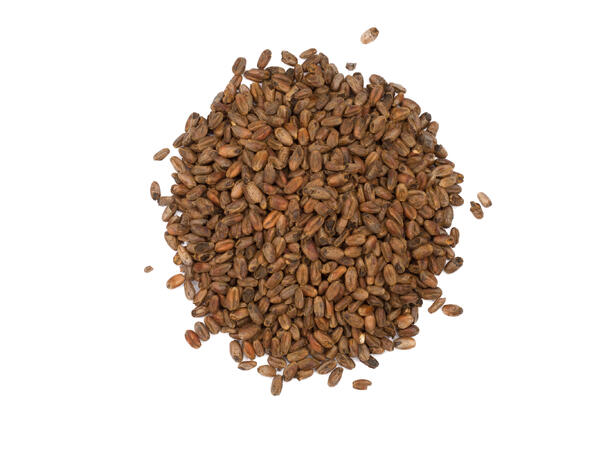 Carawheat 1 kg knust