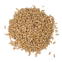 Floor-malted Bohemian Pilsner 25 kg hel 4 EBC - Weyermann