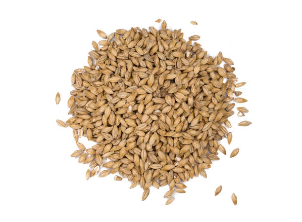 Floor-malted Bohemian Pilsner 25 kg hel