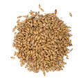Viking Pilsner Malt 750 kg (30 sekker) 4 EBC - Viking Malt