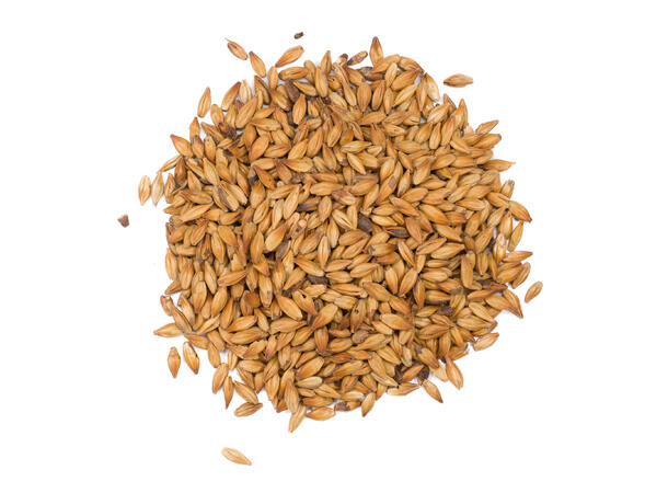 Caramunich I