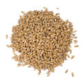 Floor-malted Bohemian Pilsner 1 kg knust 4 EBC - Weyermann