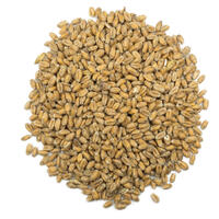 Viking Wheat Malt 25 kg hel 3-5,5 EBC - Viking Malt