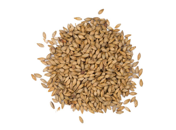 Munich Malt - Jærmalt 20-23 EBC