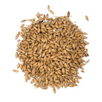 Viking Pale Ale Malt 1 Kg Knust 4 - 7 EBC - Viking Malt