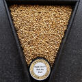 Maris Otter 25 kg hel 5 - 7,5 EBC Thomas Fawcett