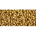 Simpsons DRC&#174; Malt 1 kg knust 280-320 EBC - Simpsons Malt