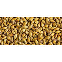 Simpsons DRC® Malt 1 kg knust 280-320 EBC - Simpsons Malt