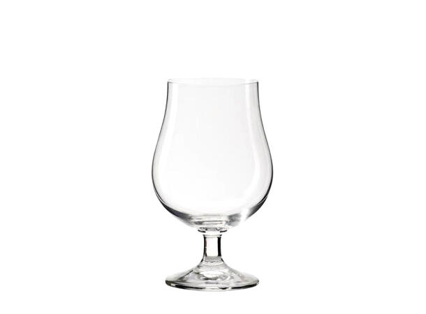 Glass Bristol 0,3 - 38cl