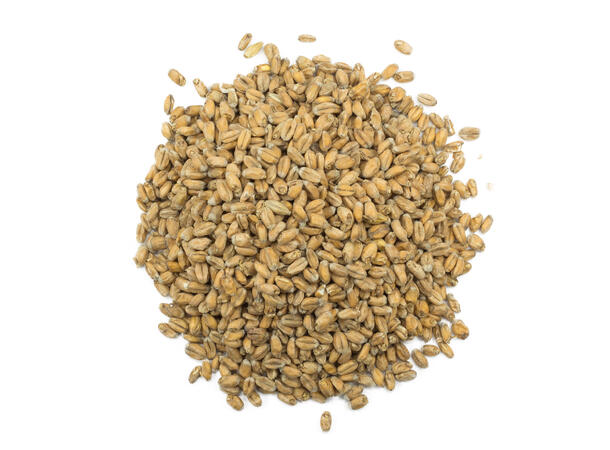 Hvete Malt Norsk Malt fra Jæren