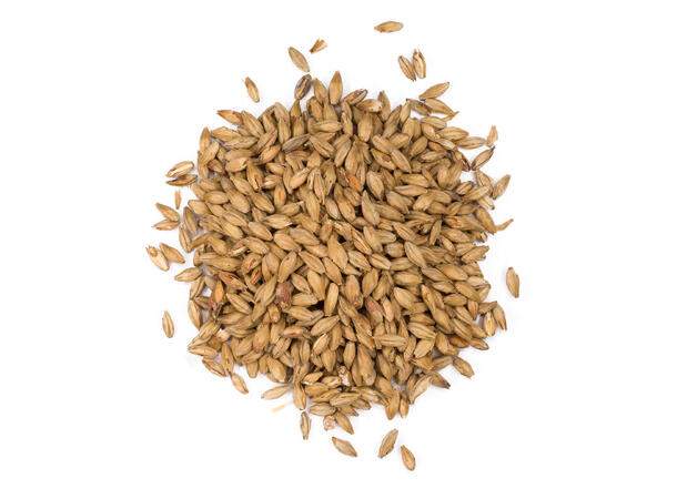 Munich Light Malt - Jærmalt 12-15 EBC